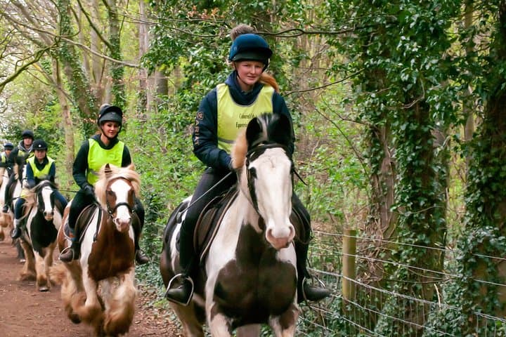 Pony trekking