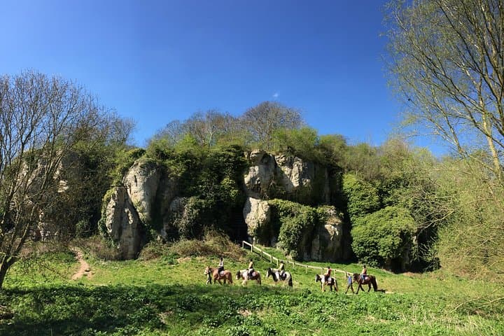 Pony trekking