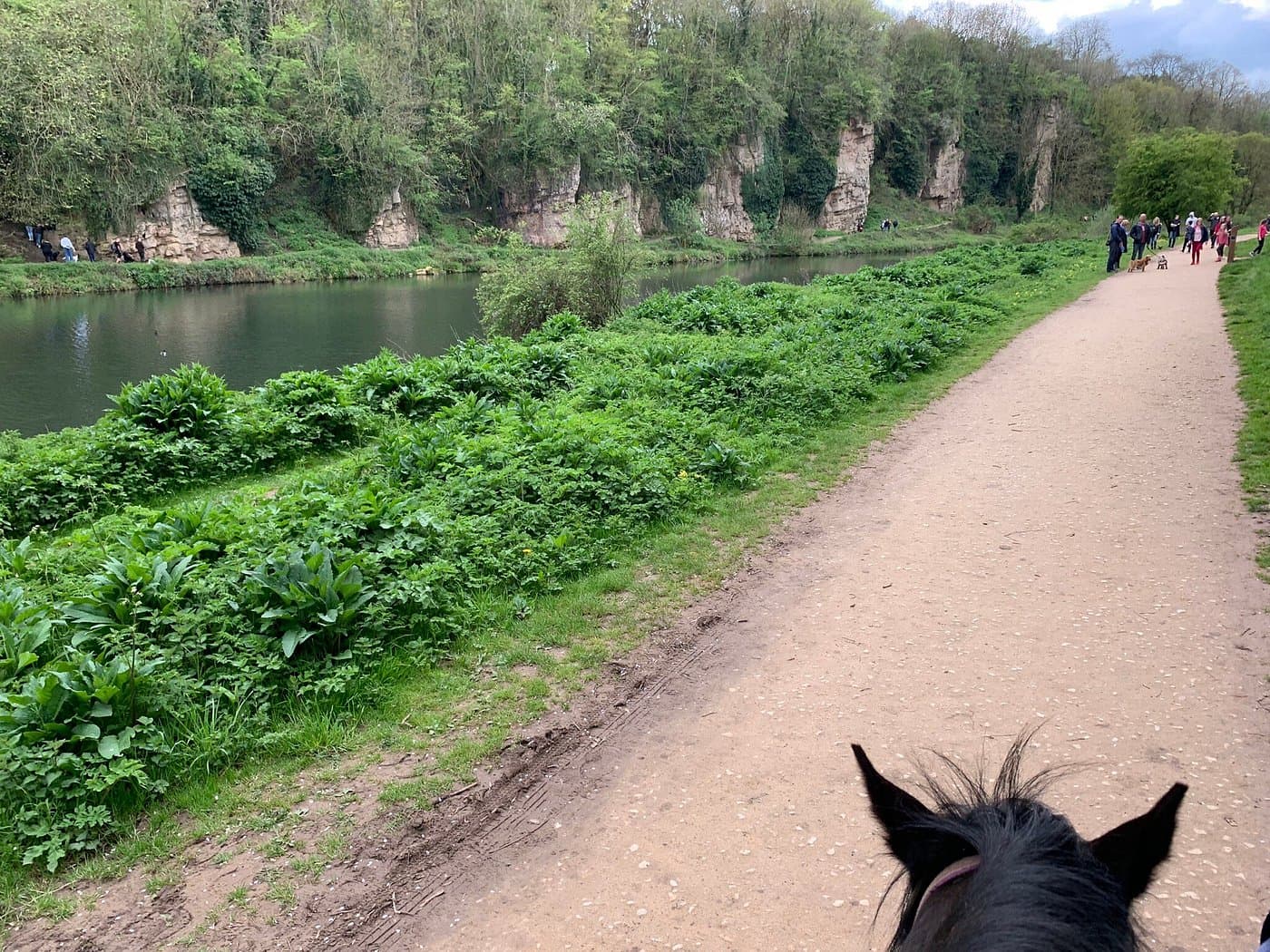 Pony trekking